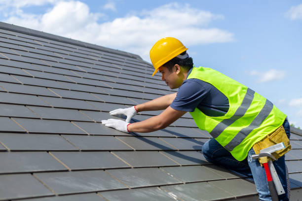 Professional Roofing Contractor in Chesapeake, VA