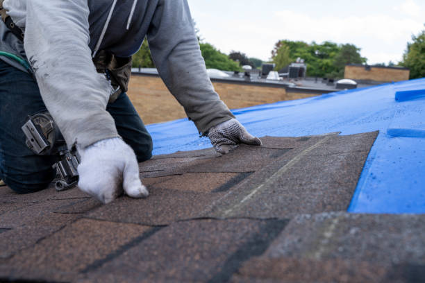 Best Roof Leak Repair  in Chesapeake, VA