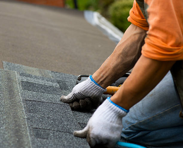 Roof Gutter Cleaning in Chesapeake, VA